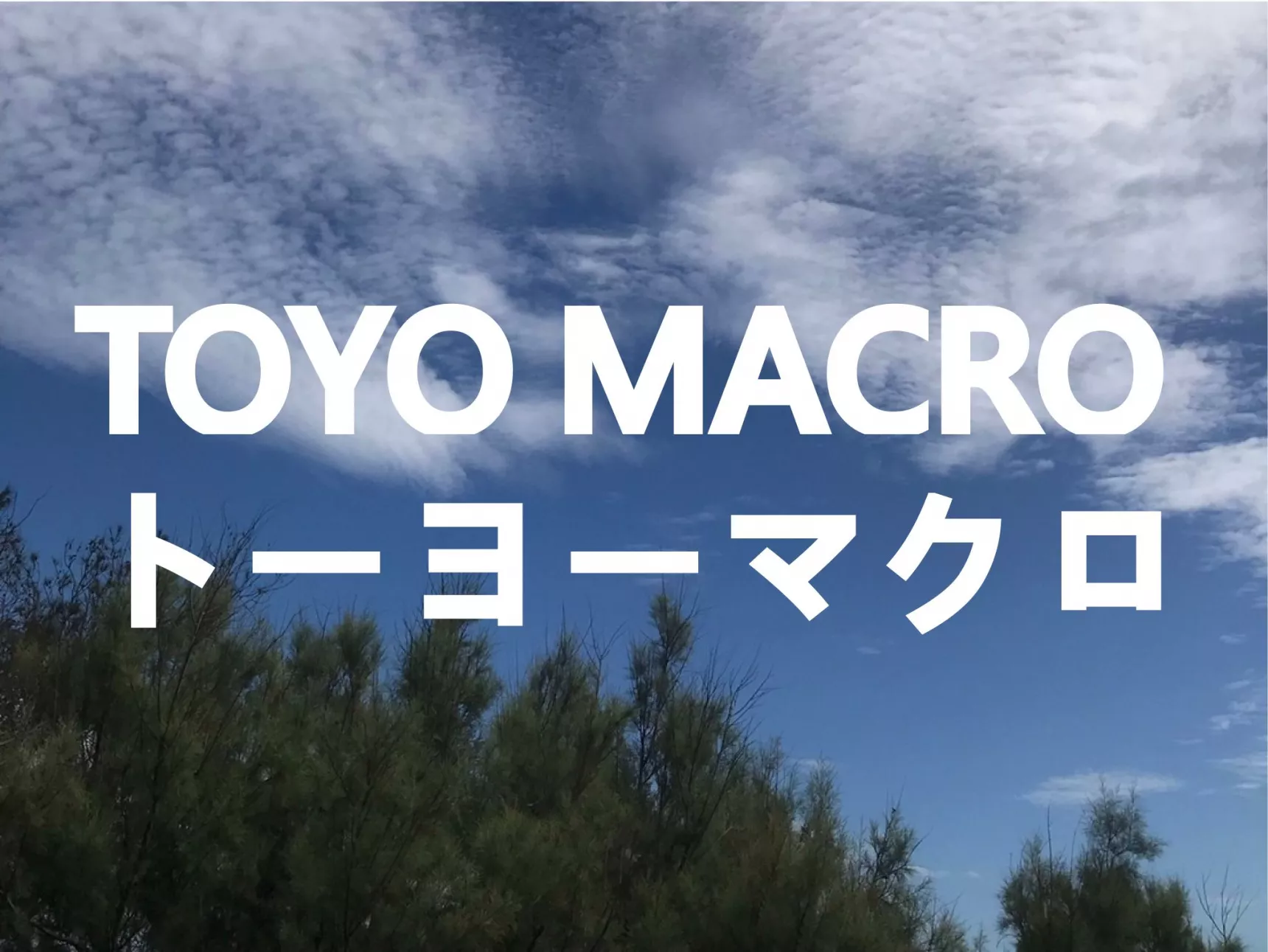 東洋MACRO 亞臨界水處理裝置